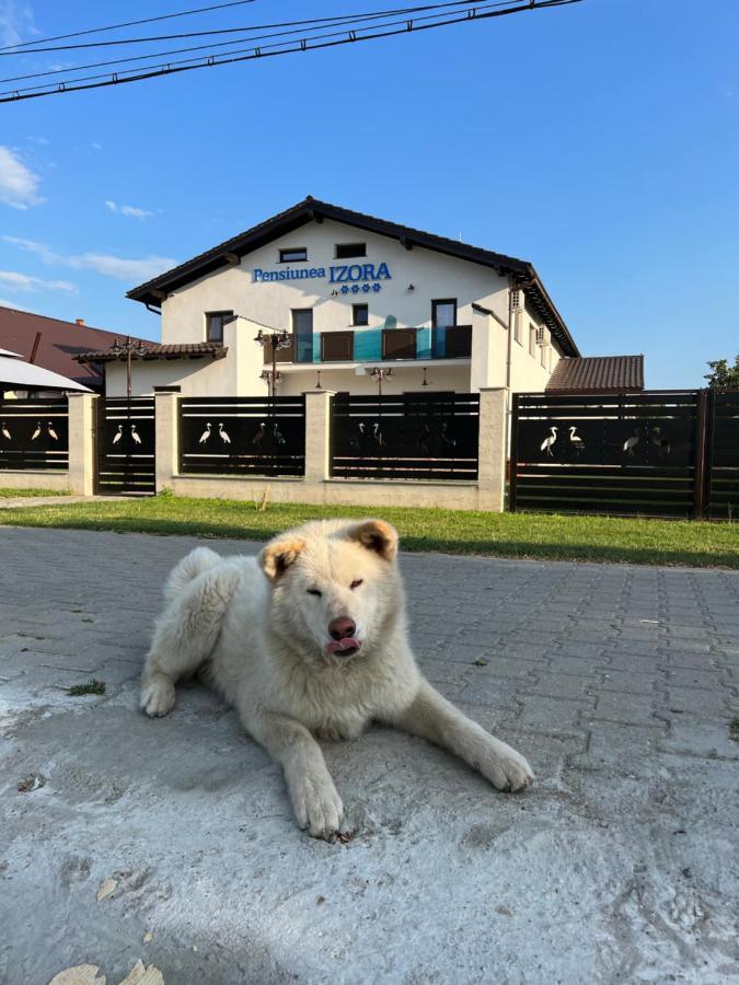 Pensiunea Izora Crișan Kültér fotó